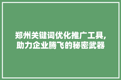 郑州关键词优化推广工具,助力企业腾飞的秘密武器