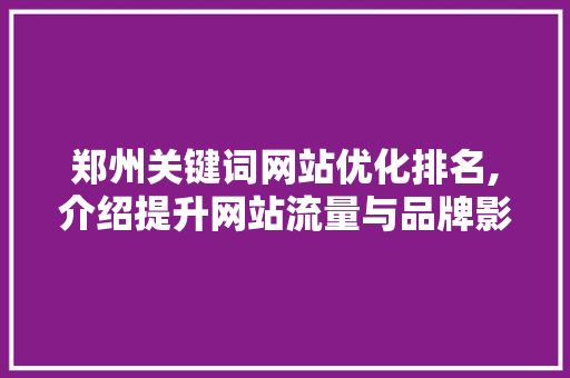 郑州关键词网站优化排名,介绍提升网站流量与品牌影响力的方法