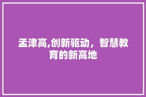 孟津高,创新驱动，智慧教育的新高地 项目报告