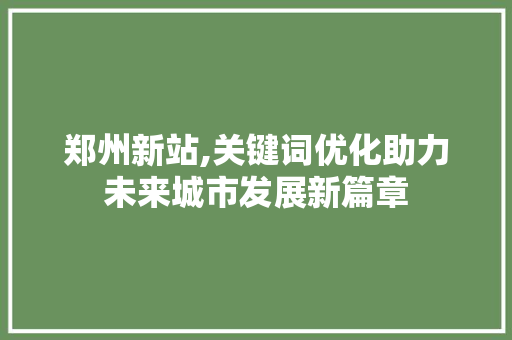 郑州新站,关键词优化助力未来城市发展新篇章