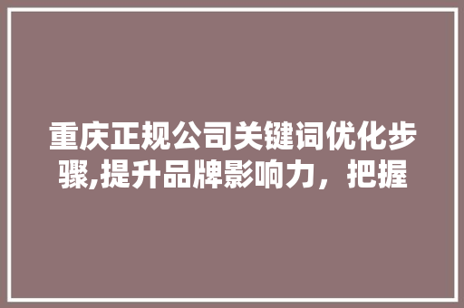 重庆正规公司关键词优化步骤,提升品牌影响力，把握市场先机