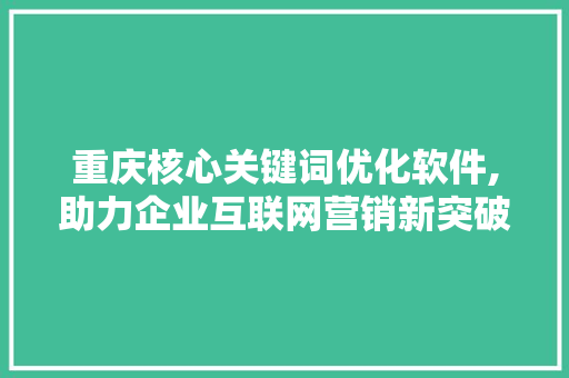 重庆核心关键词优化软件,助力企业互联网营销新突破
