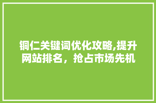 铜仁关键词优化攻略,提升网站排名，抢占市场先机