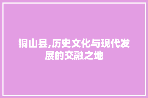 铜山县,历史文化与现代发展的交融之地