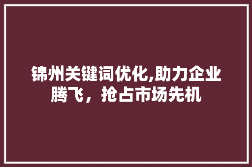 锦州关键词优化,助力企业腾飞，抢占市场先机