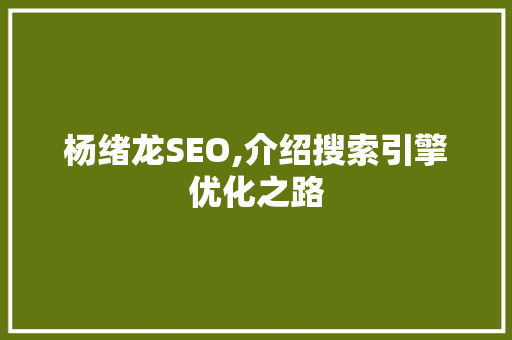 杨绪龙SEO,介绍搜索引擎优化之路