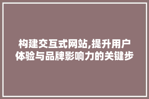 构建交互式网站,提升用户体验与品牌影响力的关键步骤