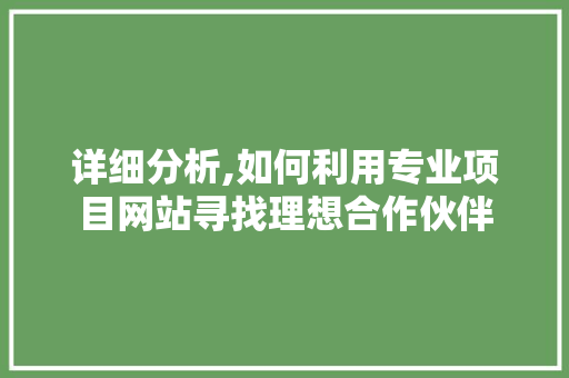 详细分析,如何利用专业项目网站寻找理想合作伙伴