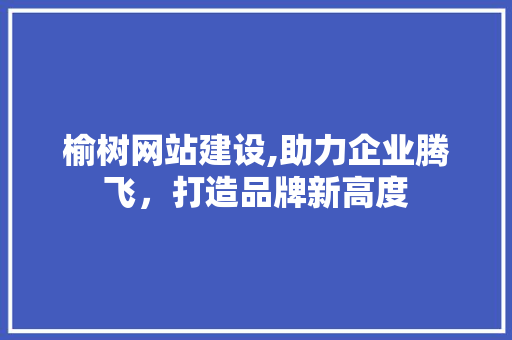 榆树网站建设,助力企业腾飞，打造品牌新高度