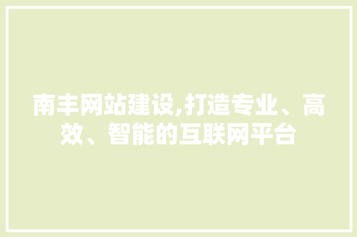 南丰网站建设,打造专业、高效、智能的互联网平台