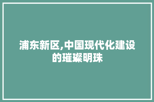 浦东新区,中国现代化建设的璀璨明珠