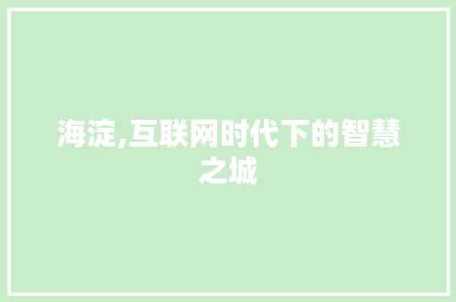 海淀,互联网时代下的智慧之城