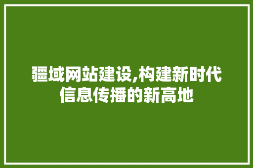 疆域网站建设,构建新时代信息传播的新高地