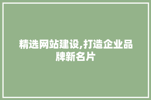 精选网站建设,打造企业品牌新名片