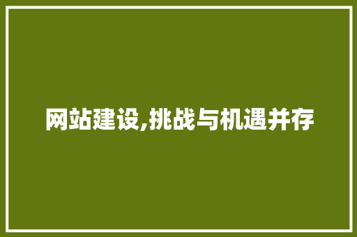网站建设,挑战与机遇并存