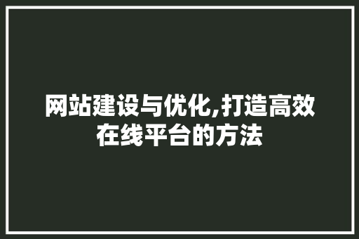 网站建设与优化,打造高效在线平台的方法