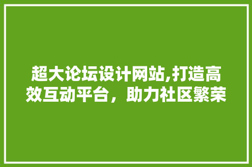 超大论坛设计网站,打造高效互动平台，助力社区繁荣发展 前端技术