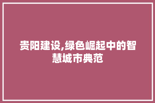 贵阳建设,绿色崛起中的智慧城市典范