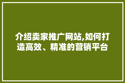 介绍卖家推广网站,如何打造高效、精准的营销平台 后端技术