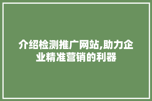 介绍检测推广网站,助力企业精准营销的利器