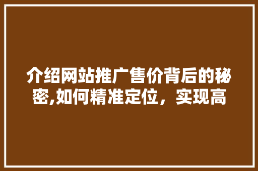 介绍网站推广售价背后的秘密,如何精准定位，实现高效转化