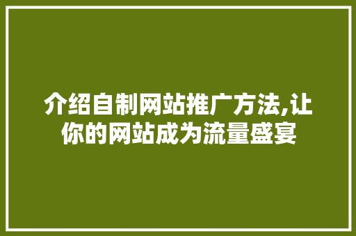 介绍自制网站推广方法,让你的网站成为流量盛宴