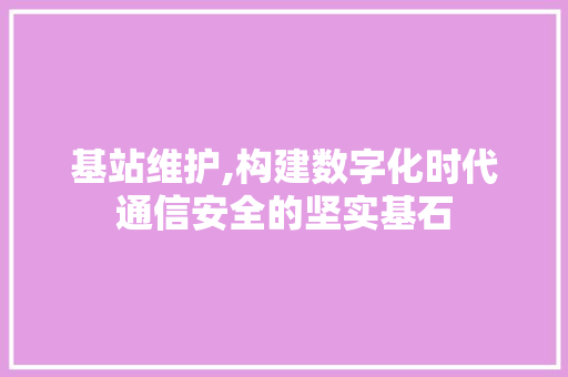 基站维护,构建数字化时代通信安全的坚实基石