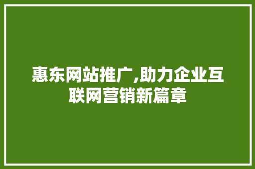 惠东网站推广,助力企业互联网营销新篇章