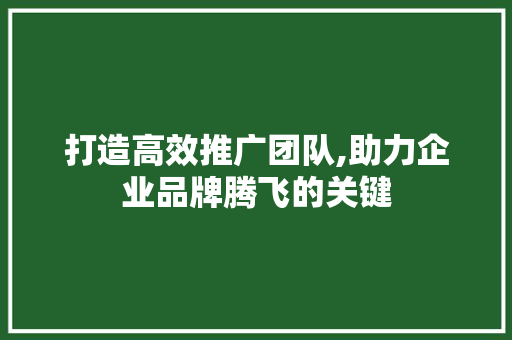 打造高效推广团队,助力企业品牌腾飞的关键