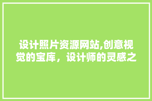 设计照片资源网站,创意视觉的宝库，设计师的灵感之源 项目报告