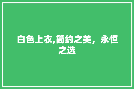 白色上衣,简约之美，永恒之选