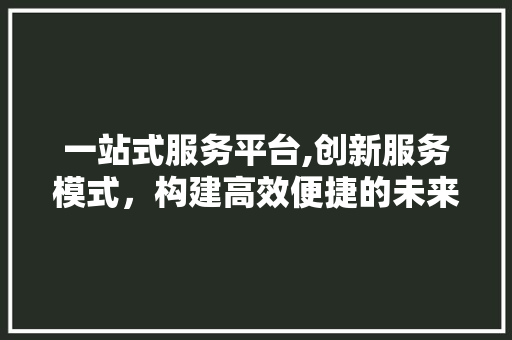 一站式服务平台,创新服务模式，构建高效便捷的未来