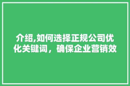 介绍,如何选择正规公司优化关键词，确保企业营销效果最大化