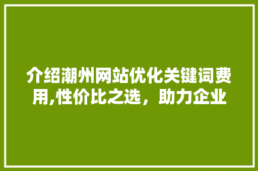 介绍潮州网站优化关键词费用,性价比之选，助力企业腾飞