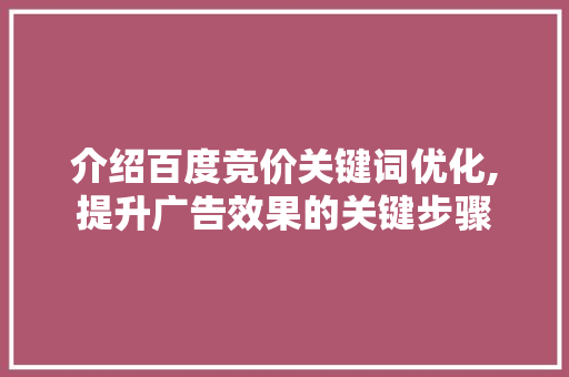 介绍百度竞价关键词优化,提升广告效果的关键步骤