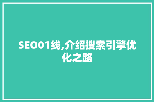 SEO01线,介绍搜索引擎优化之路
