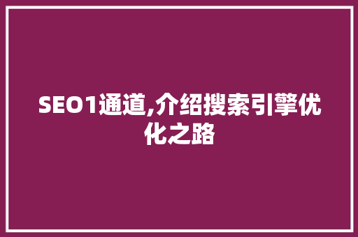 SEO1通道,介绍搜索引擎优化之路