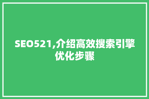 SEO521,介绍高效搜索引擎优化步骤