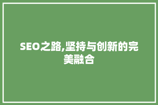 SEO之路,坚持与创新的完美融合 前端技术