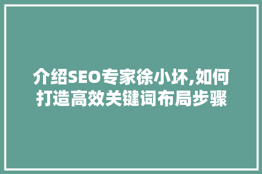 介绍SEO专家徐小坏,如何打造高效关键词布局步骤