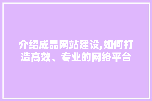介绍成品网站建设,如何打造高效、专业的网络平台