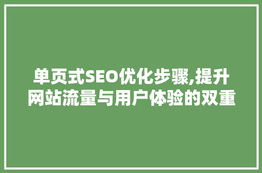单页式SEO优化步骤,提升网站流量与用户体验的双重之路