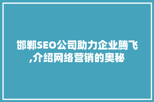 邯郸SEO公司助力企业腾飞,介绍网络营销的奥秘