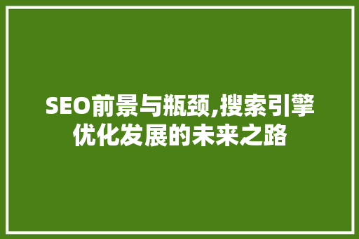 SEO前景与瓶颈,搜索引擎优化发展的未来之路 后端技术