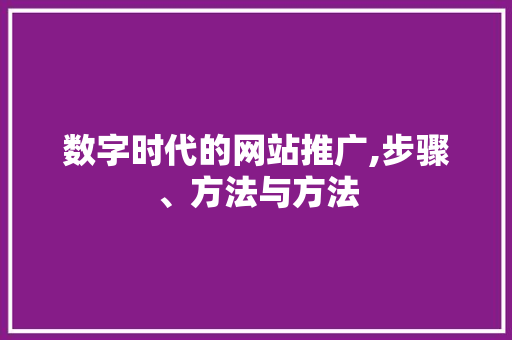 数字时代的网站推广,步骤、方法与方法