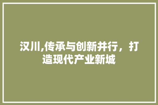 汉川,传承与创新并行，打造现代产业新城 项目报告