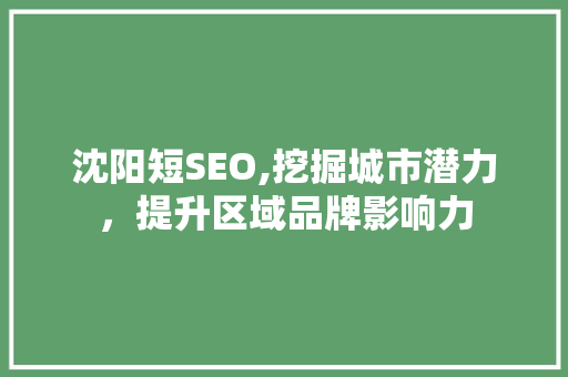 沈阳短SEO,挖掘城市潜力，提升区域品牌影响力