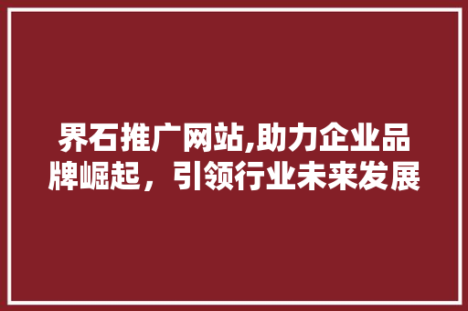 界石推广网站,助力企业品牌崛起，引领行业未来发展