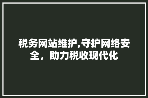税务网站维护,守护网络安全，助力税收现代化