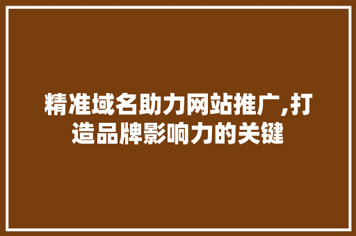 精准域名助力网站推广,打造品牌影响力的关键
